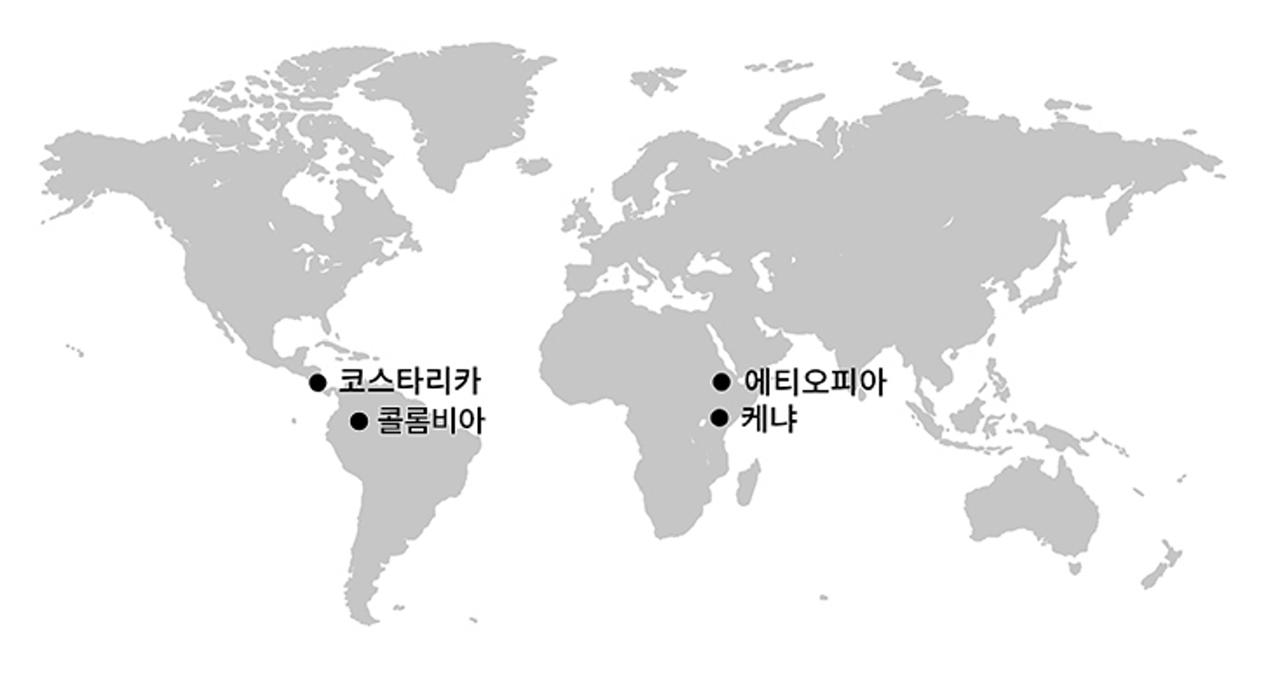 Light Blossom 원산지